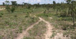 LAND FOR SALE IN KAPIRI MPOSHI ALONG NDOLA ROAD