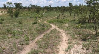 LAND FOR SALE IN KAPIRI MPOSHI ALONG NDOLA ROAD