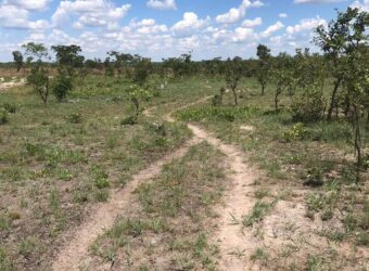 LAND FOR SALE IN KAPIRI MPOSHI ALONG NDOLA ROAD