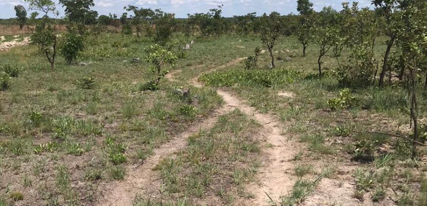 LAND FOR SALE IN KAPIRI MPOSHI ALONG NDOLA ROAD