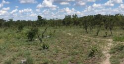 LAND FOR SALE IN KAPIRI MPOSHI ALONG NDOLA ROAD