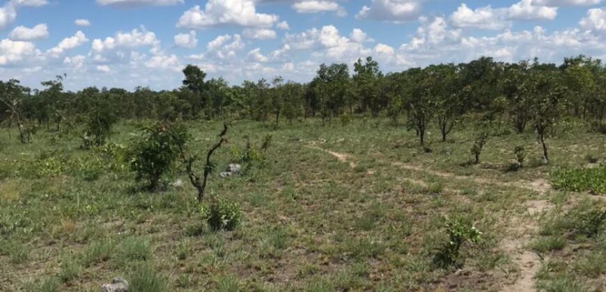 LAND FOR SALE IN KAPIRI MPOSHI ALONG NDOLA ROAD