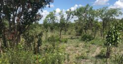 LAND FOR SALE IN KAPIRI MPOSHI ALONG NDOLA ROAD