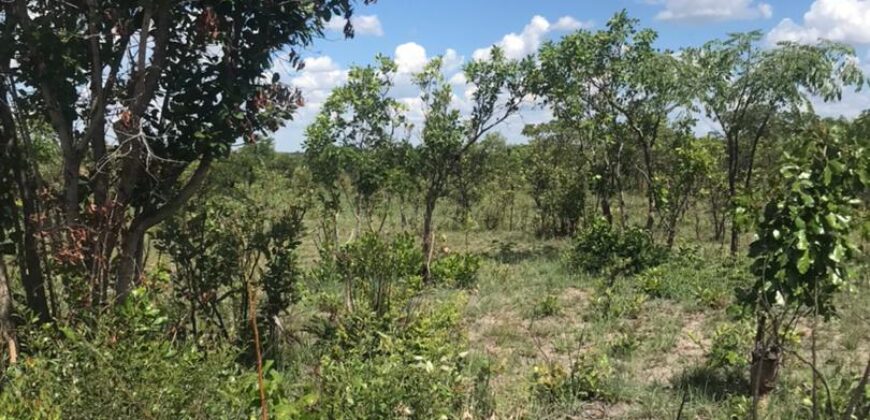 LAND FOR SALE IN KAPIRI MPOSHI ALONG NDOLA ROAD