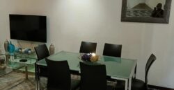 2bedroom fully furnished apartments for rent at cantoments.