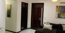 2bedroom fully furnished apartments for rent at cantoments.