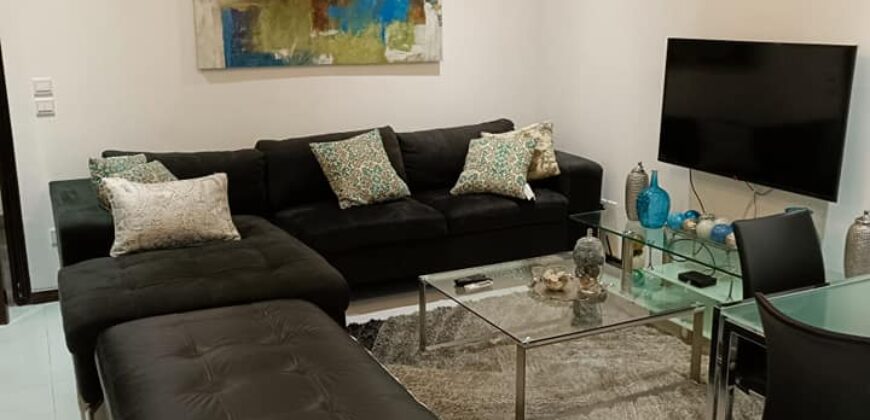 2bedroom fully furnished apartments for rent at cantoments.