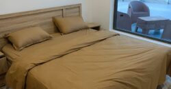 One-bedroom fully furnished Apartment in Osu, Oxford street.