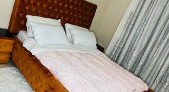 Fully furnished apartments for rent in kisasi