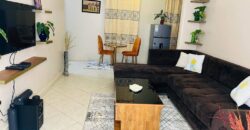 Fully furnished apartments for rent in kisasi