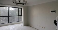 Spacious 3-Bedroom Apartment with DSQ