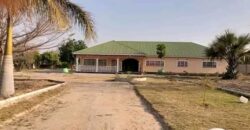 FARM HOUSE FOR RENT ON 5 ACERS WITH MORE THAN 4 POULTRY HOUSES CAPACITY OF MORE THAN K10,000 BIRDS