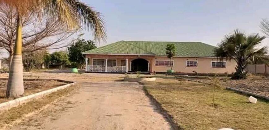 FARM HOUSE FOR RENT ON 5 ACERS WITH MORE THAN 4 POULTRY HOUSES CAPACITY OF MORE THAN K10,000 BIRDS