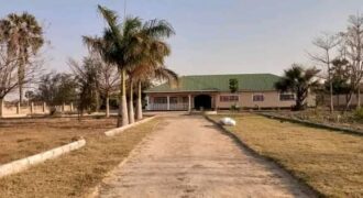 FARM HOUSE FOR RENT ON 5 ACERS WITH MORE THAN 4 POULTRY HOUSES CAPACITY OF MORE THAN K10,000 BIRDS