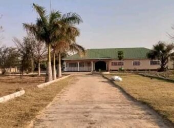 FARM HOUSE FOR RENT ON 5 ACERS WITH MORE THAN 4 POULTRY HOUSES CAPACITY OF MORE THAN K10,000 BIRDS