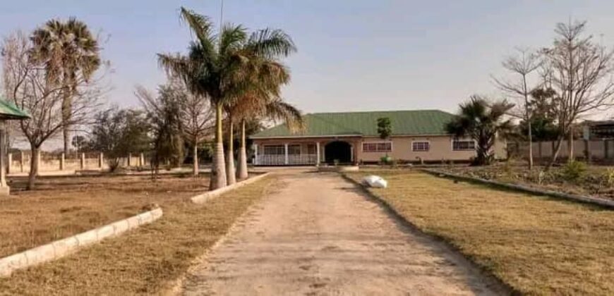 FARM HOUSE FOR RENT ON 5 ACERS WITH MORE THAN 4 POULTRY HOUSES CAPACITY OF MORE THAN K10,000 BIRDS