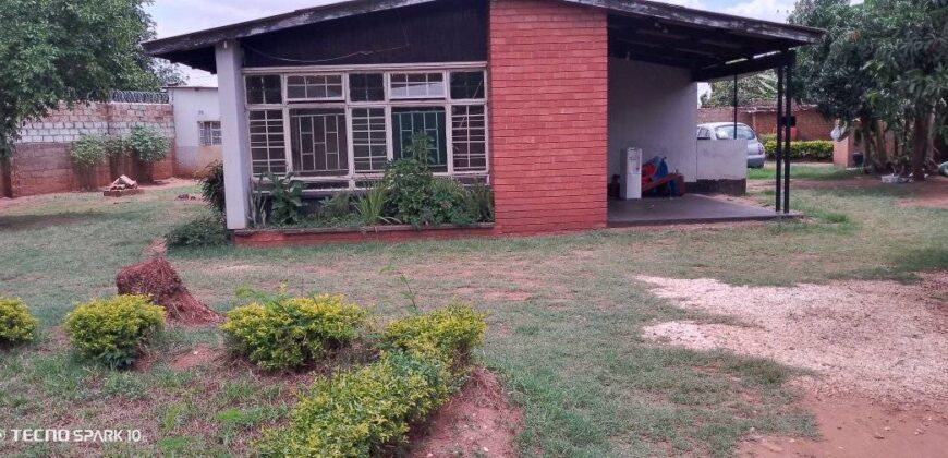 3 bedroom house for Rent in new Avondale off Simon mwansa kapwepwe