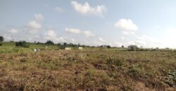 Registered Plots of land for sale at Akramang Police Station near the Sankofa Spice’s Factory.