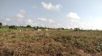 Registered Plots of land for sale at Akramang Police Station near the Sankofa Spice’s Factory.