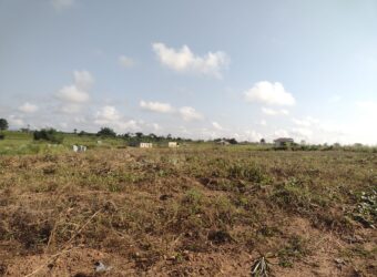 Registered Plots of land for sale at Akramang Police Station near the Sankofa Spice’s Factory.