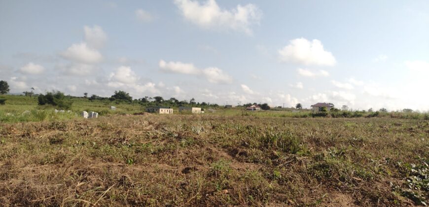 Registered Plots of land for sale at Akramang Police Station near the Sankofa Spice’s Factory.