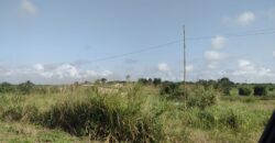 Registered Plots of land for sale at Akramang Police Station near the Sankofa Spice’s Factory.