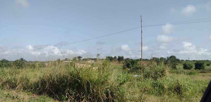 Registered Plots of land for sale at Akramang Police Station near the Sankofa Spice’s Factory.