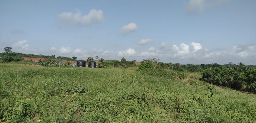 Registered Plots of land for sale at Akramang Police Station near the Sankofa Spice’s Factory.