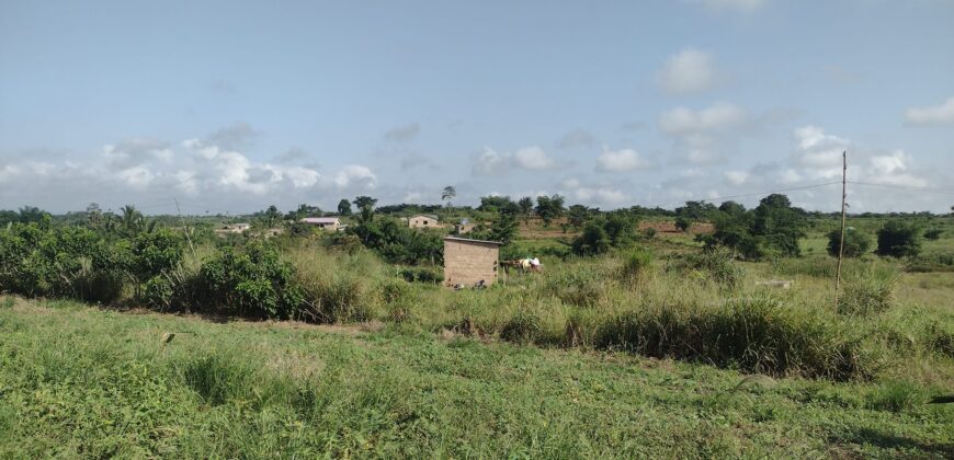 Registered Plots of land for sale at Akramang Police Station near the Sankofa Spice’s Factory.