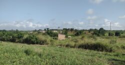 Registered Plots of land for sale at Akramang Police Station near the Sankofa Spice’s Factory.