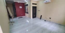 Newly built 2 bedroom apartment for rent at East Legon Adjiringanor