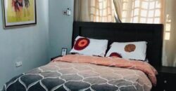 Fully furnished 1 bedroom apartment available for rent at Tse Addo