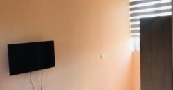 fully furnished studio,which is available for rent at East airport Tseaddo