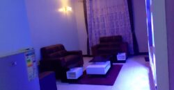 Fully furnished apartments for rent in Ntinda-Uganda