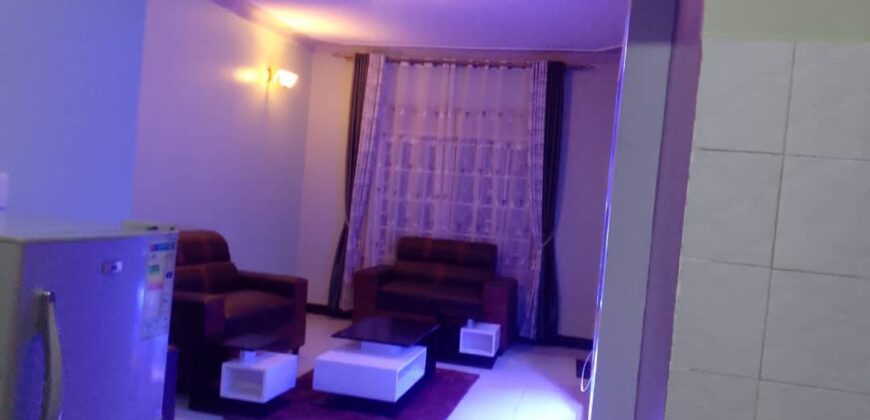 Fully furnished apartments for rent in Ntinda-Uganda