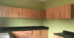 Neat Spacious 2 bedrooms apartment for rent at Kasoa Colomba(Down town area).