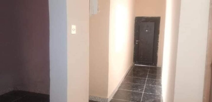 Neat Spacious 2 bedrooms apartment for rent at Kasoa Colomba(Down town area).