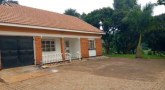 AN EXCELLENT HOUSE FOR RENT AT NAGURU-UGANDA