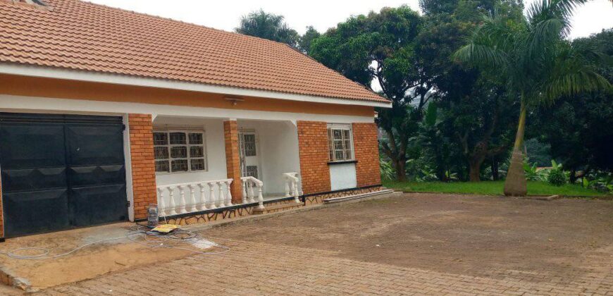 AN EXCELLENT HOUSE FOR RENT AT NAGURU-UGANDA