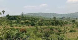 LAND FOR SALE AT UGANDA-KYABAHEESI