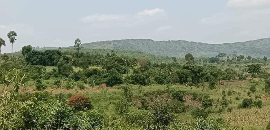 LAND FOR SALE AT UGANDA-KYABAHEESI