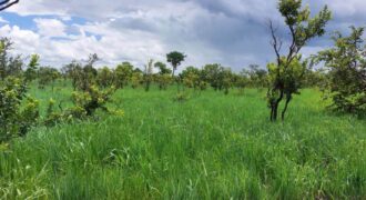 FARM FOR SALE NEAR SAVENDER FARM