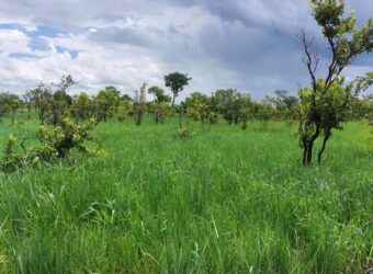 FARM FOR SALE NEAR SAVENDER FARM