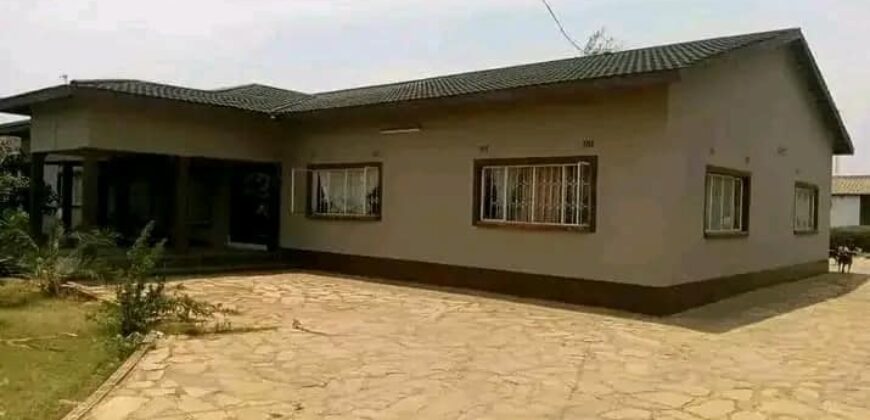 4 Bedroomed Executive Stand Alone House For Sale in Makeni Bonaventure