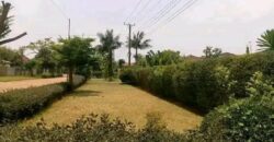 4 Bedroomed Executive Stand Alone House For Sale in Makeni Bonaventure