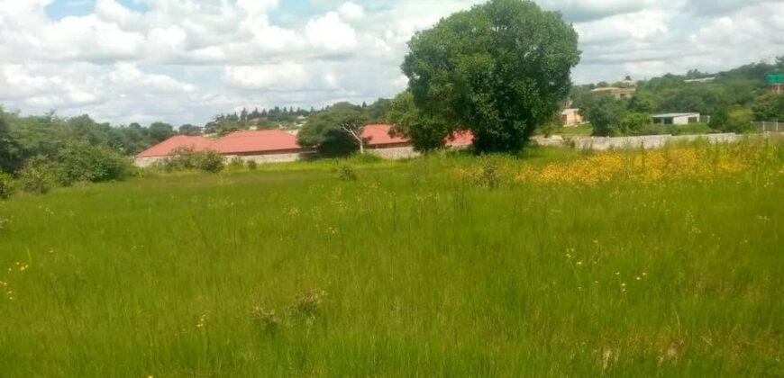 Prime land for sale in ibex hill near pesttloze school