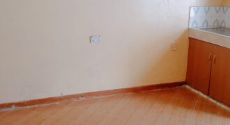 SPACIOUS BEDSITTERS TO-LET IN RUAKA ALONG LIMURU RD