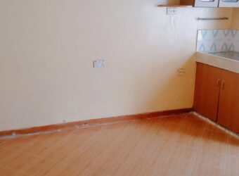 SPACIOUS BEDSITTERS TO-LET IN RUAKA ALONG LIMURU RD