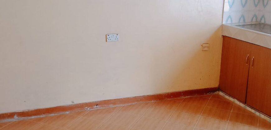 SPACIOUS BEDSITTERS TO-LET IN RUAKA ALONG LIMURU RD