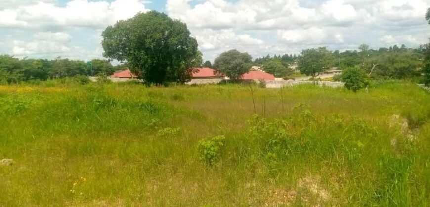 Prime land for sale in ibex hill near pesttloze school